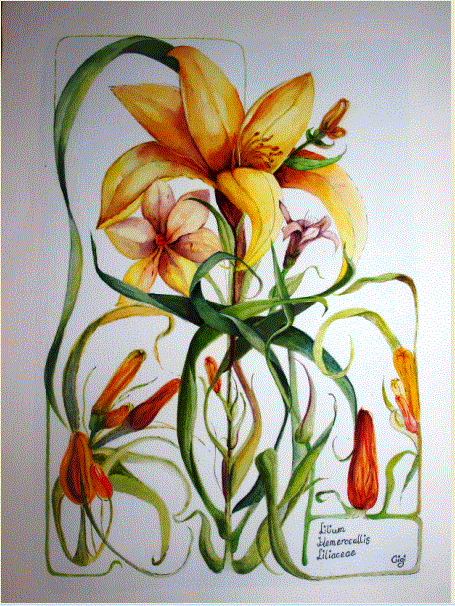 Capture my watercolour lillies