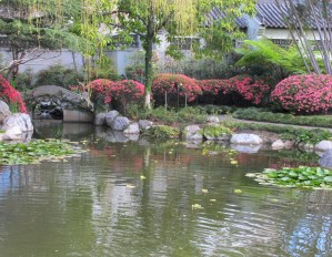 IMG_1260 chinese tea garden 2